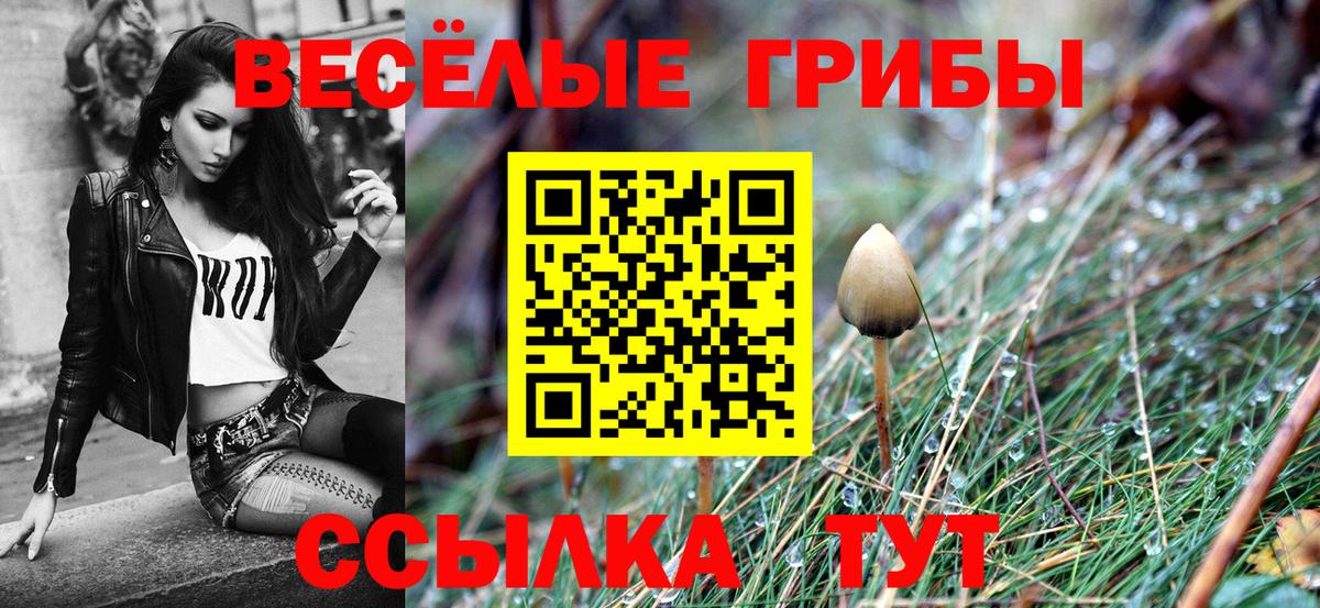 Псилоцибиновые грибы MAGIC MUSHROOMS  Галлюциногенные грибы MAGIC MUSHROOMS  Вход с VPN  Челябинск 